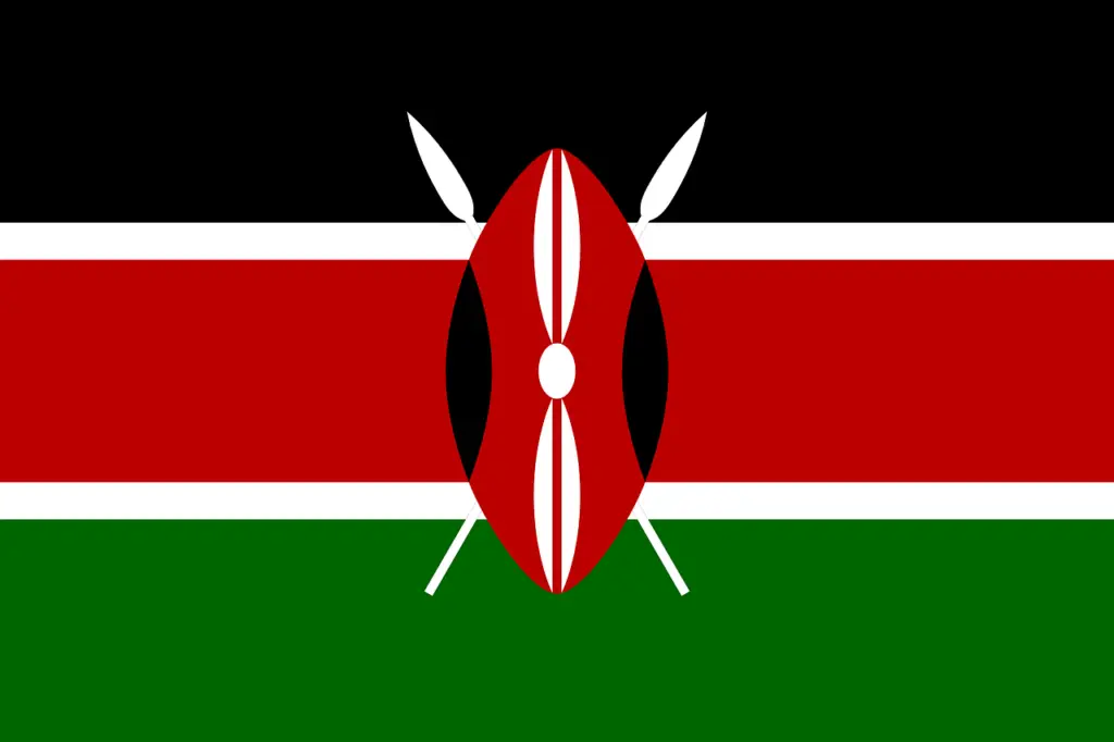 35. kenya flag